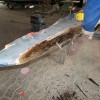 Holz-Boot-Spreen-Restaurierung-10